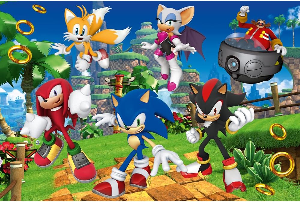 Puzzle Sonic sur le thème du jeu vidéo – Image 2