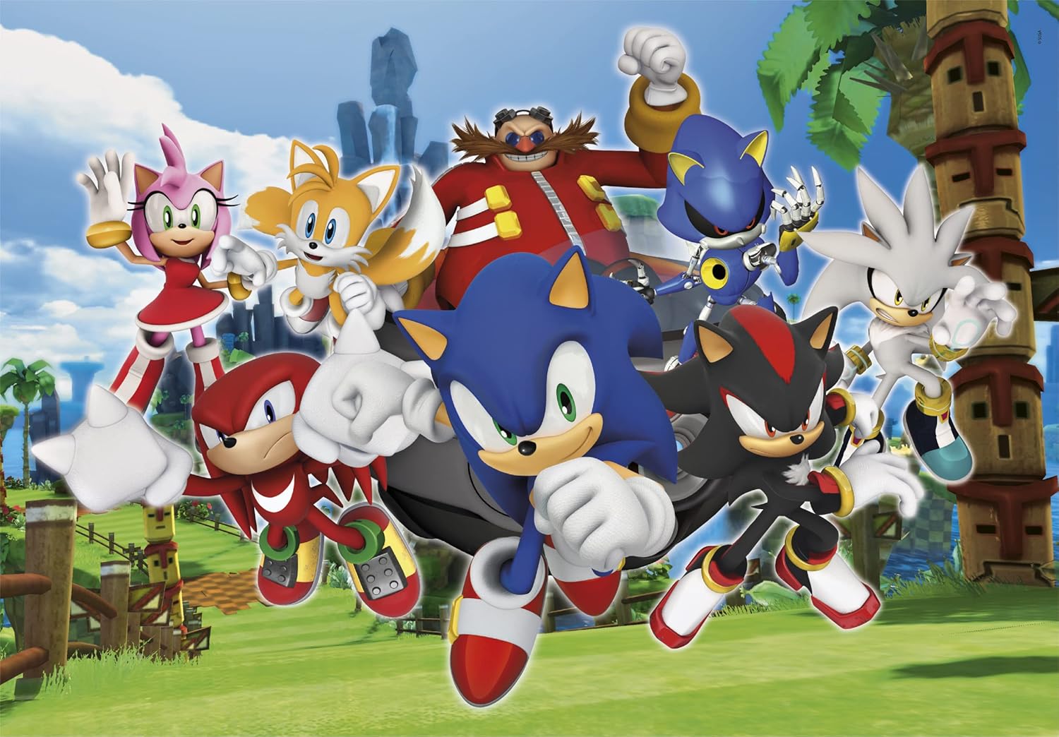 Puzzle Sonic et ses personnages – Image 5